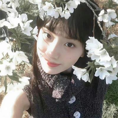 副总统第六季